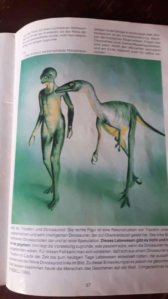 Reptilioden