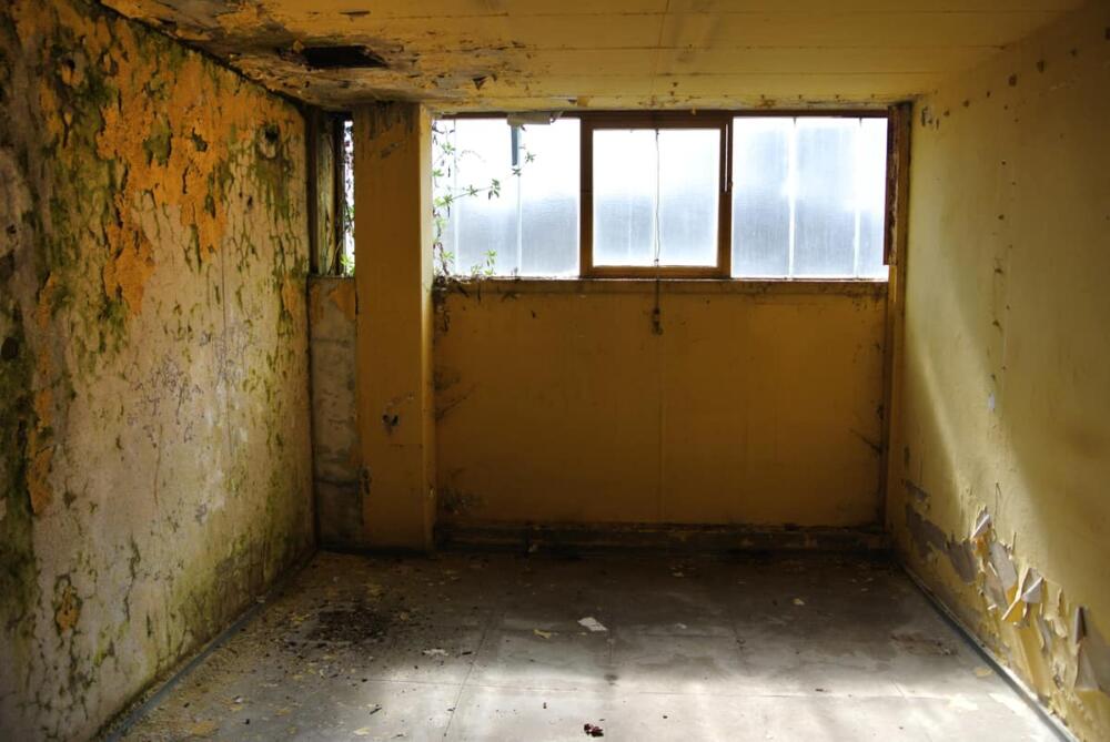 Berlin, 900 € Kaltmiete