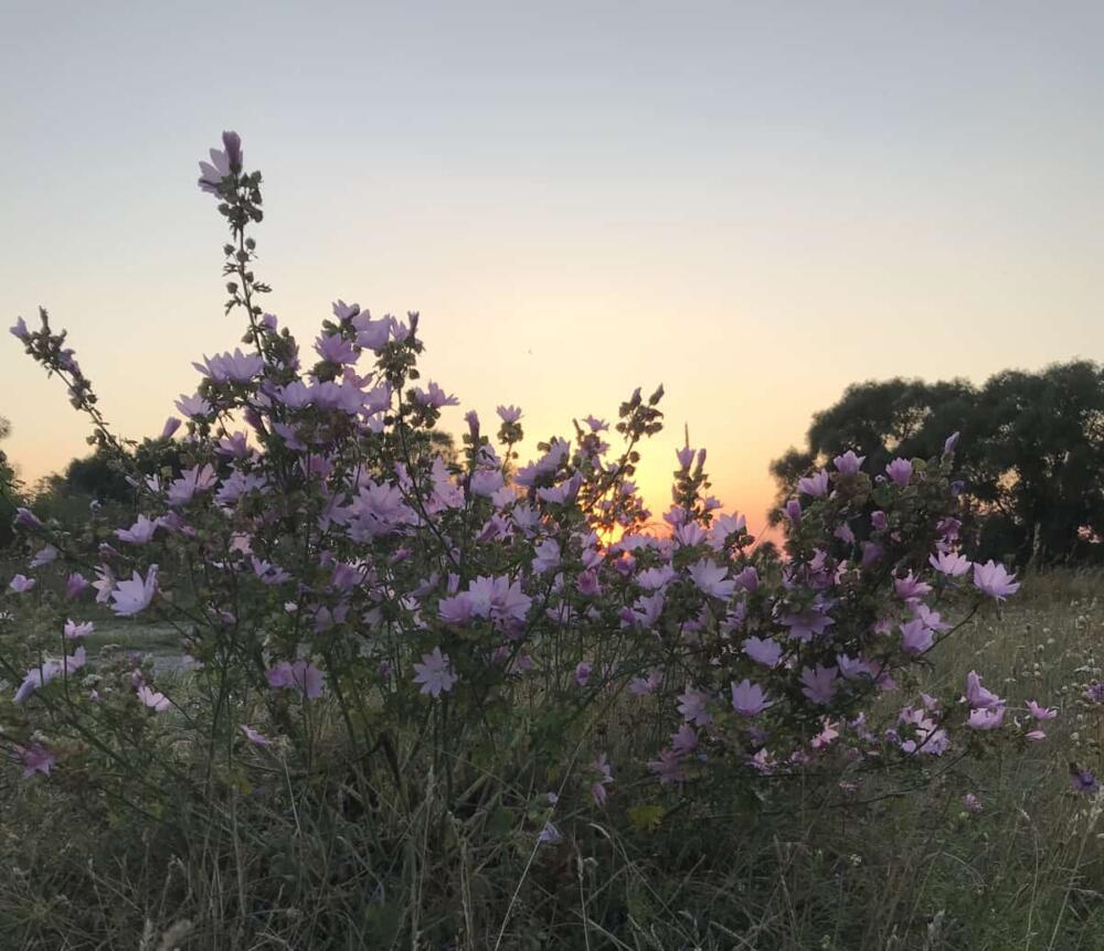 Meine schönsten Landschaftsbilder 