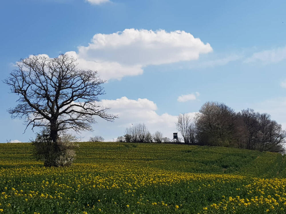 Nordlippisches Bergland