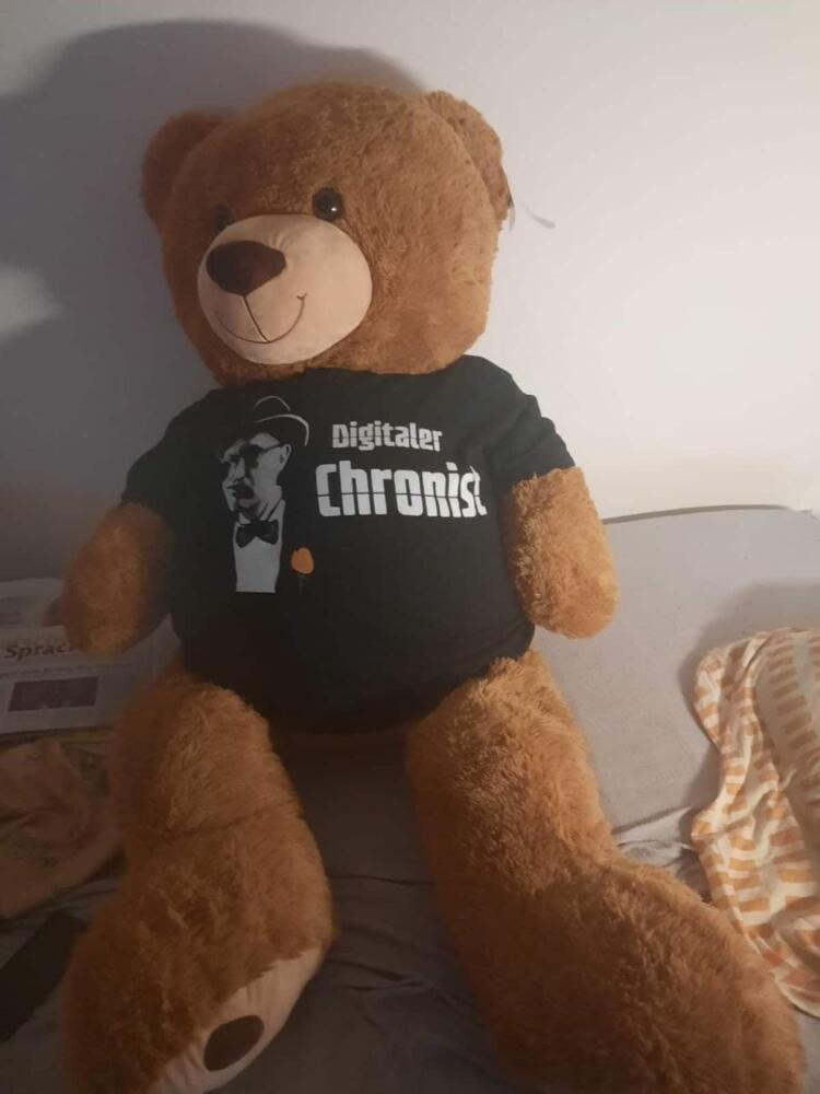 Teddy mit DC-Shirt